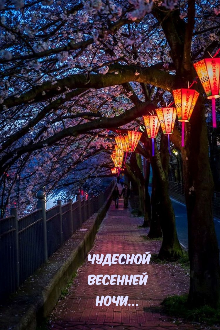 Чудесной Весенней Ночи...