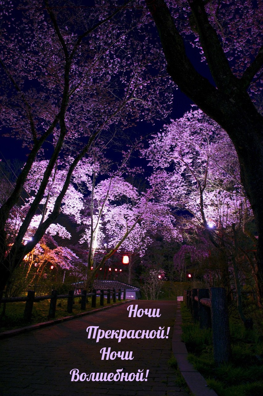 Ночи Прекрасной! Ночи Волшебной!