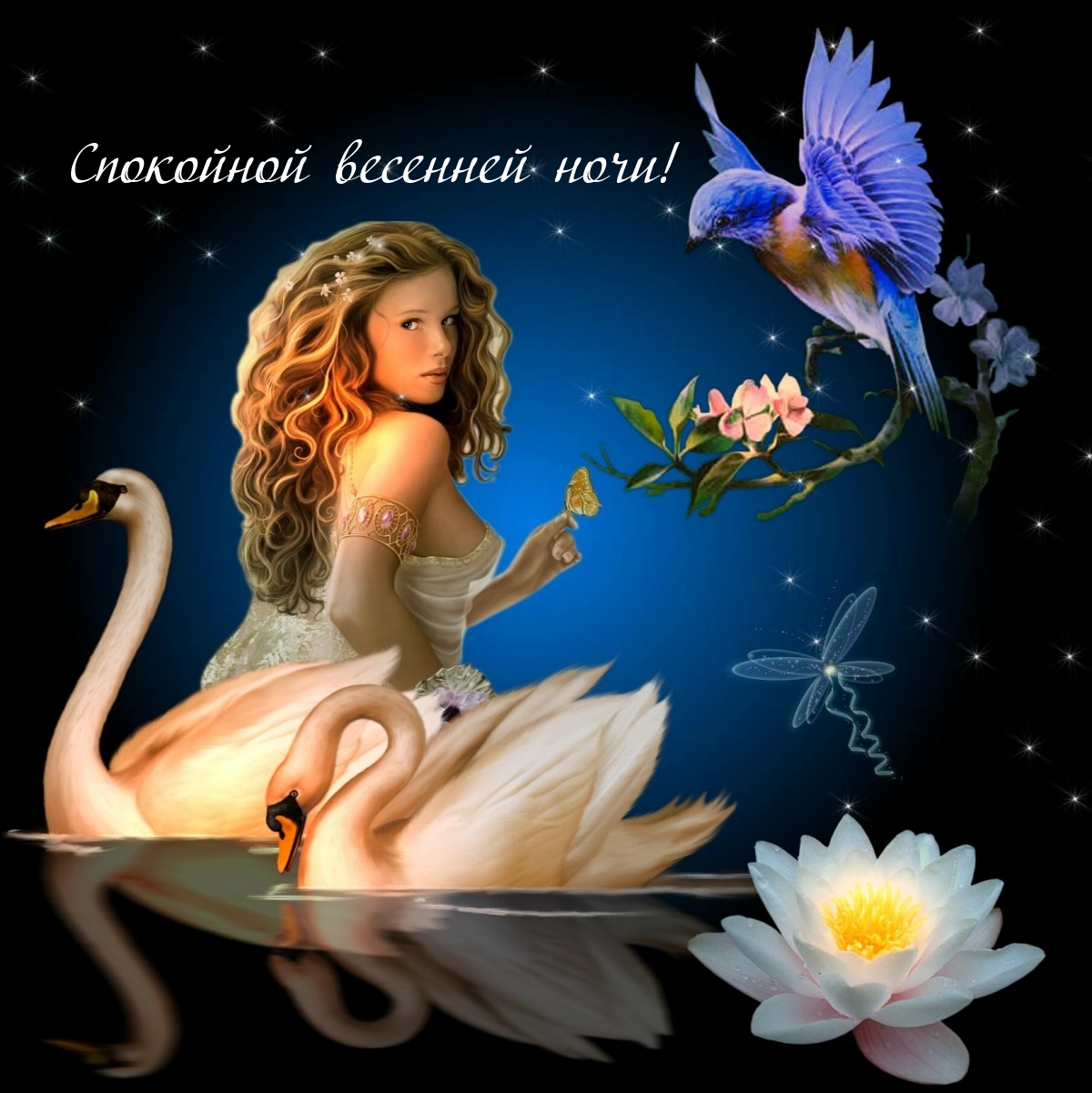 Спокойной весенней ночи!