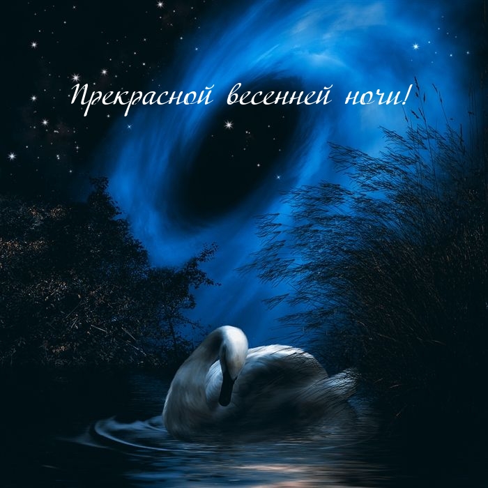 Прекрасной весенней ночи!