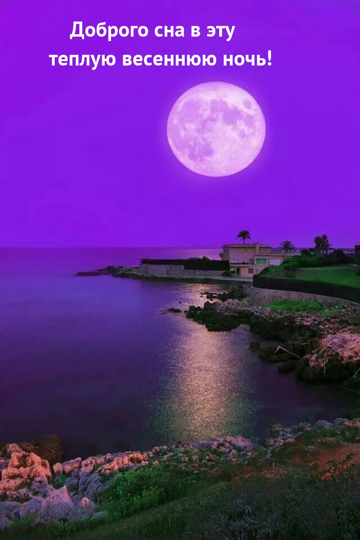 Доброго сна в эту теплую весеннюю ночь!
