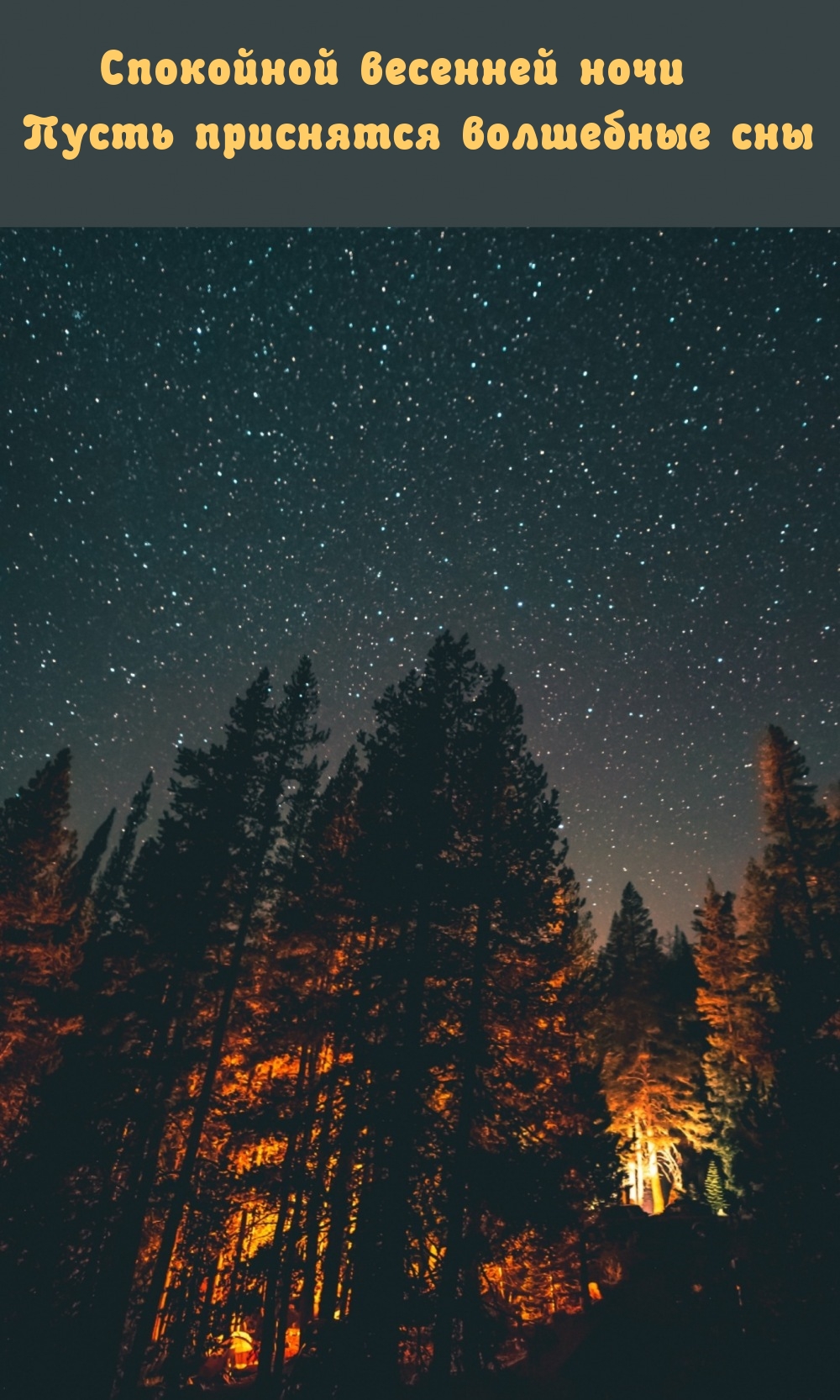 Спокойной весенней ночи Пусть приснятся волшебные сны
