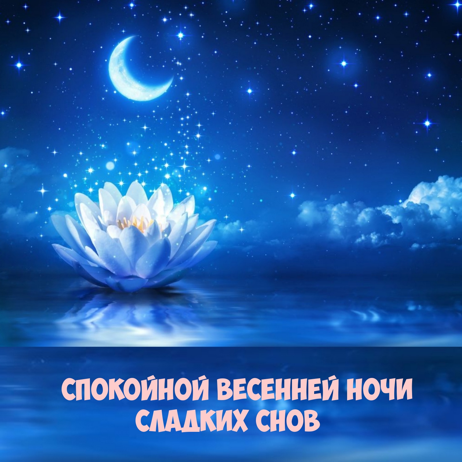Спокойной весенней ночи Сладких снов