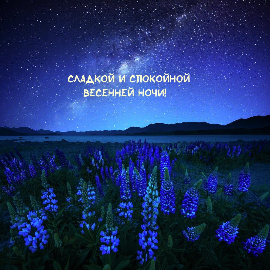 Сладкой и спокойной весенней ночи!