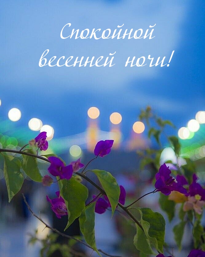 Спокойной весенней ночи!
