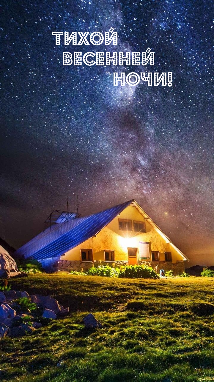 Тихой весенней ночи!