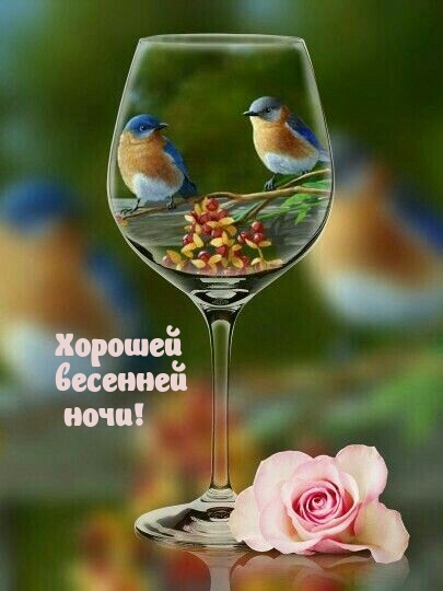Хорошей весенней ночи!