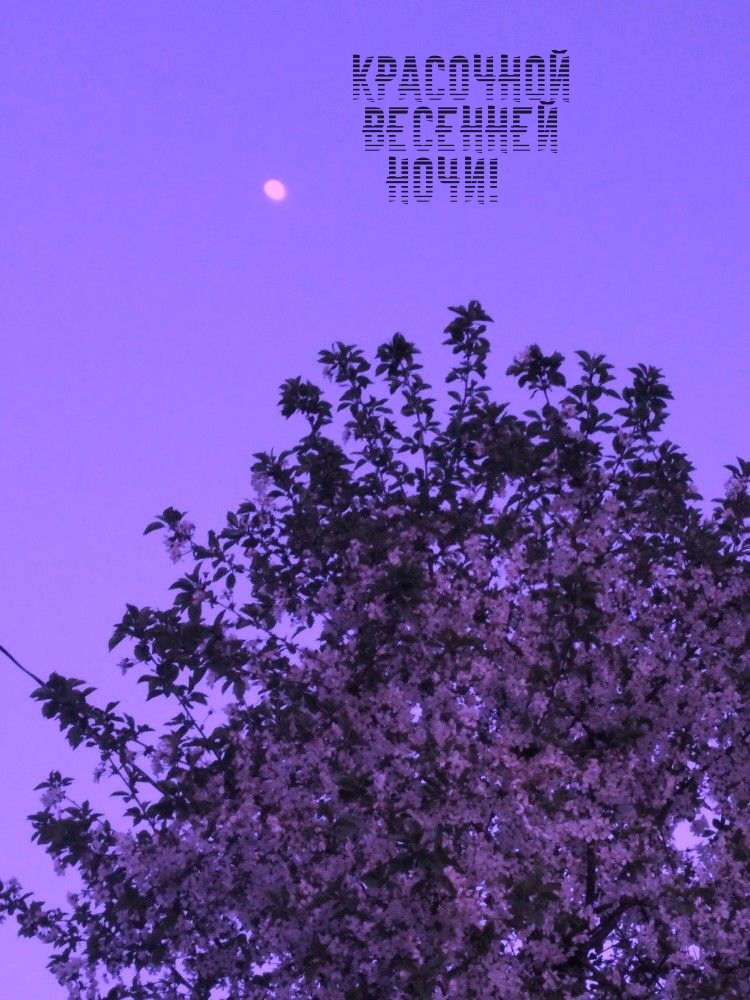 Красочной весенней ночи!