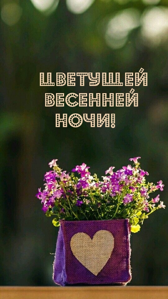 Цветущей весенней ночи!
