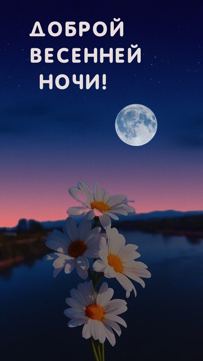 Доброй весенней ночи!