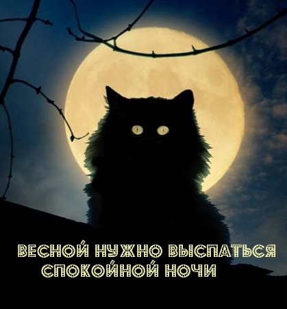 Весной нужно выспаться Спокойной ночи