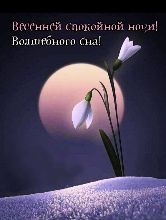 Весенней спокойной ночи! Волшебного сна!