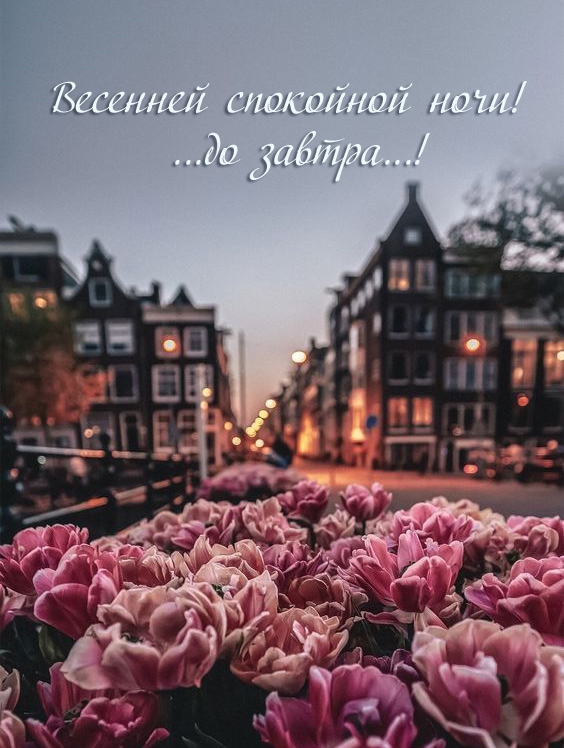 Весенней спокойной ночи! ...до завтра...!