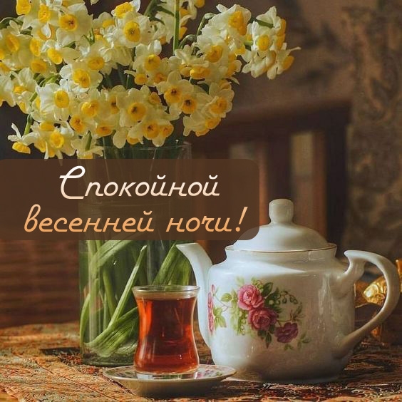 Спокойной весенней ночи!