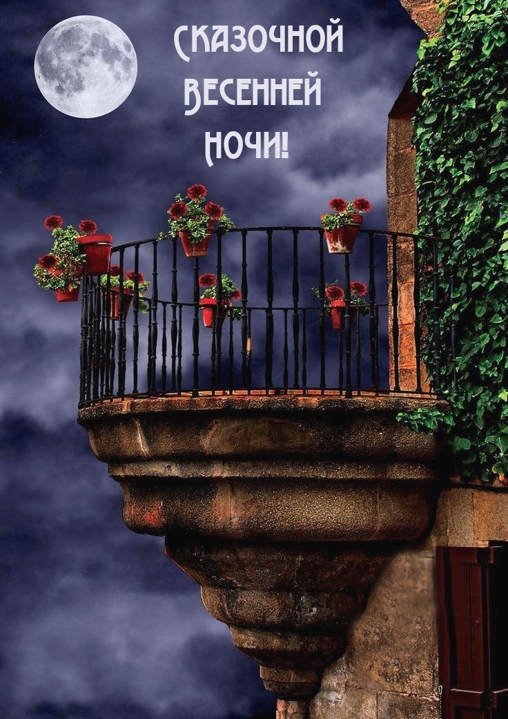 Сказочной Весенней Ночи!