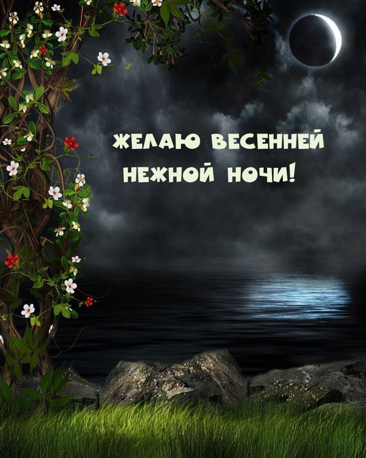 Желаю весенней Нежной ночи!