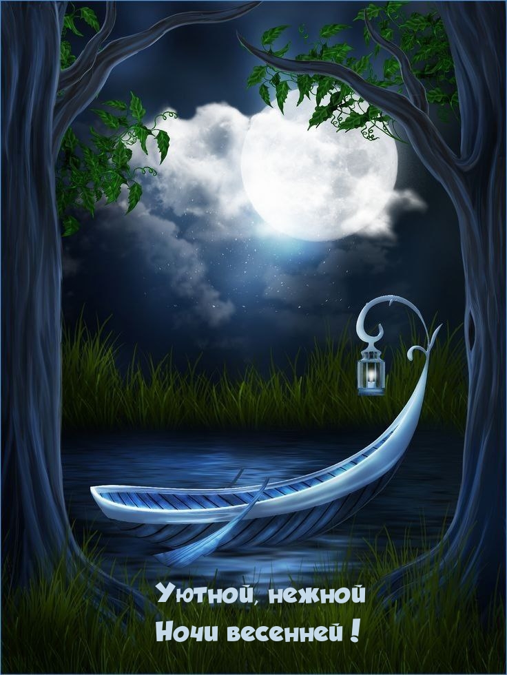 Уютной, нежной ночи весенней!