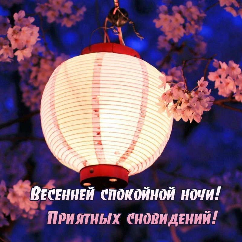 Весенней спокойной ночи! Приятных сновидений!