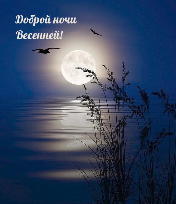 Доброй ночи Весенней!