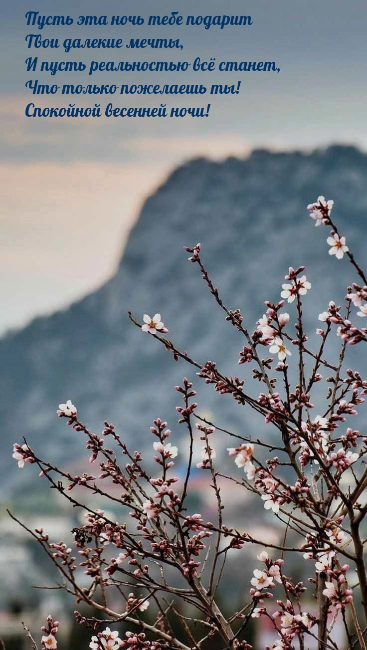 Спокойной весенней ночи! Пусть эта ночь подарит вои далекие мечты