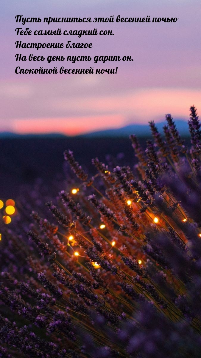 Пусть присниться этой весенней ночью тебе самый сладкий сон.