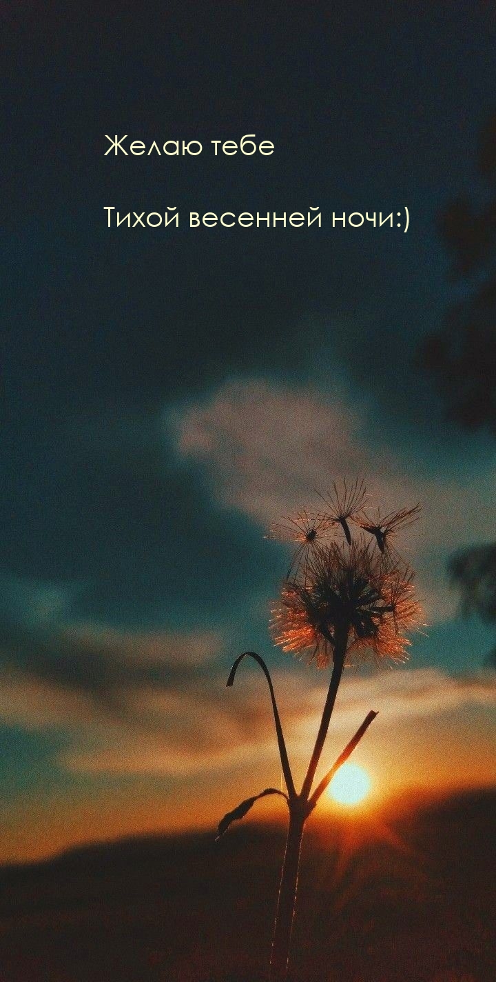 Желаю тебе тихой весенней ночи:)