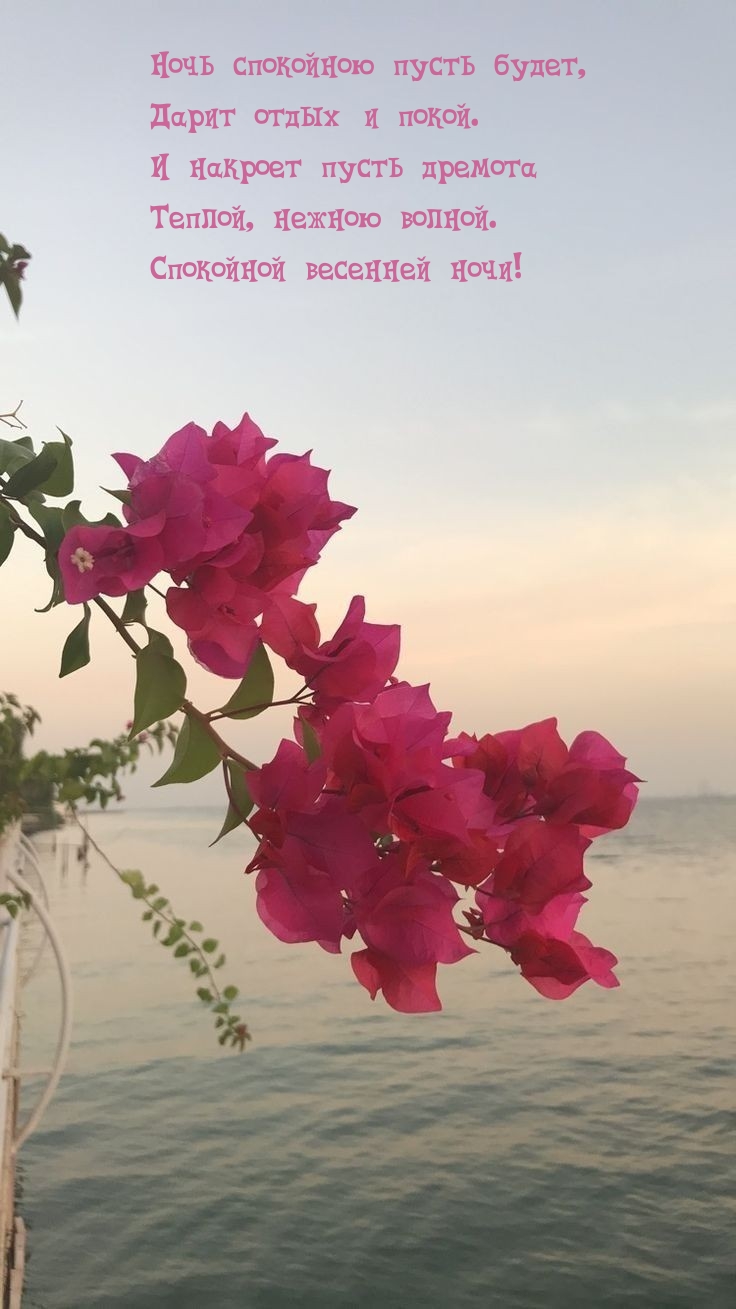Теплой, нежною волной. Спокойной весенней ночи!