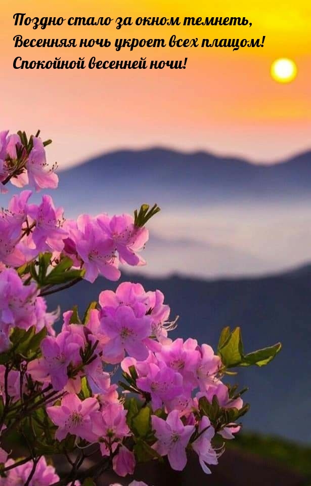 Спокойной весенней ночи! Поздно стало за окном темнеть
