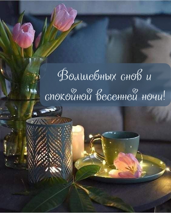 Волшебных снов и спокойной весенней ночи!