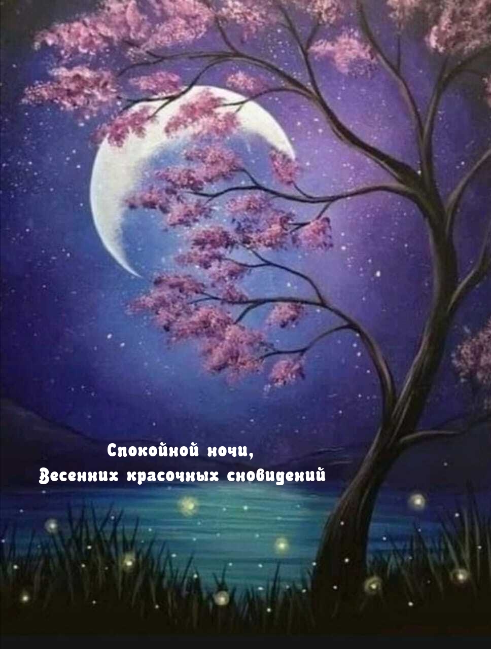 Спокойной ночи, весенних красочных сновидений
