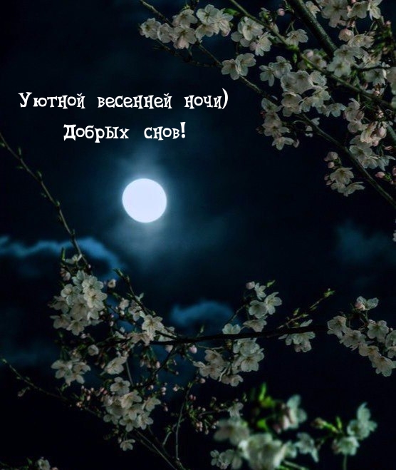 Уютной весенней ночи) Добрых снов!