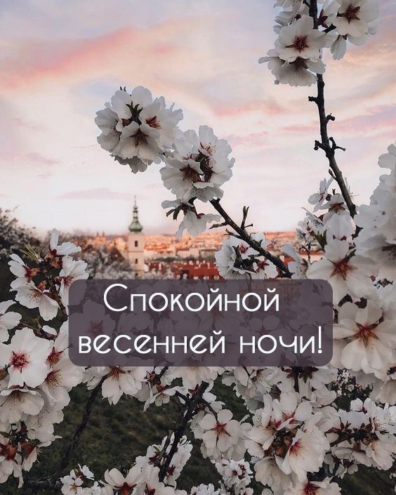 Спокойной весенней ночи!