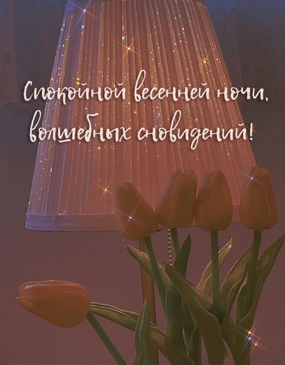 Спокойной весенней ночи, волшебных сновидений!