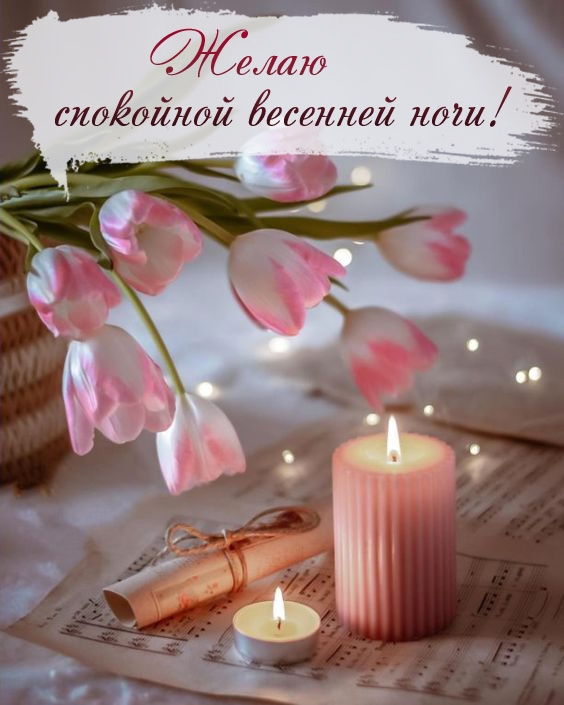 Желаю спокойной весенней ночи!