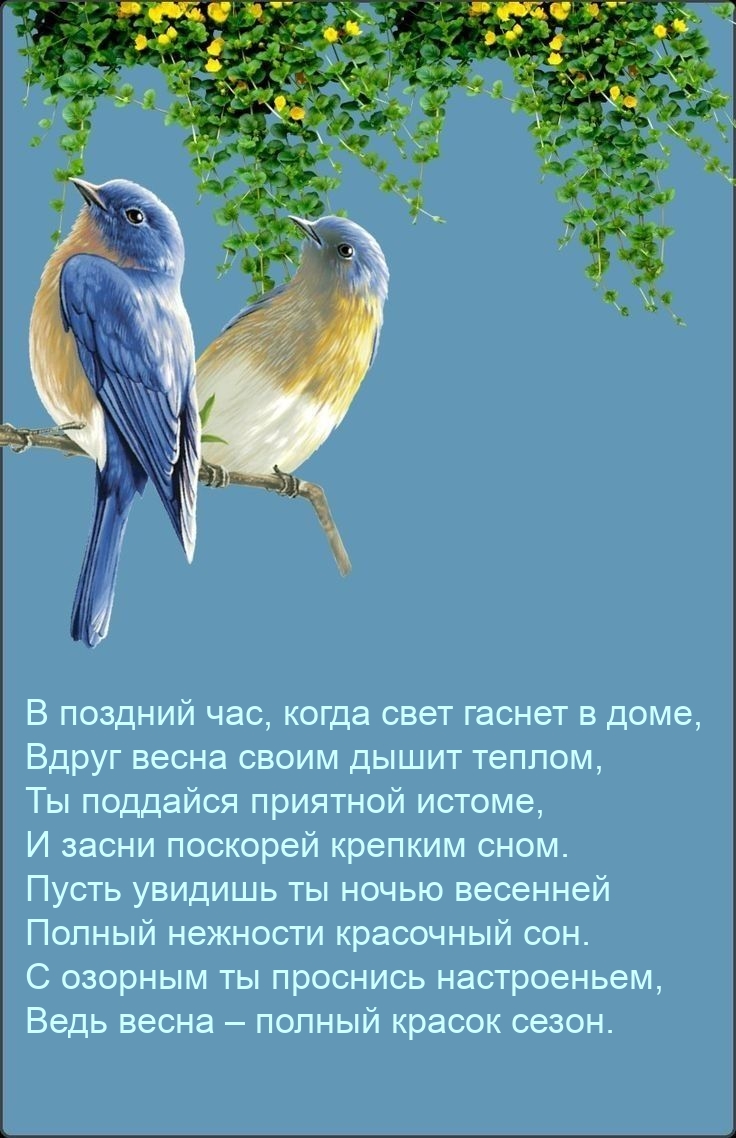 Пусть увидишь ты ночью весенней полный нежности красочный сон.
