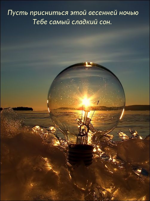 Пусть присниться этой весенней ночью тебе самый сладкий сон.