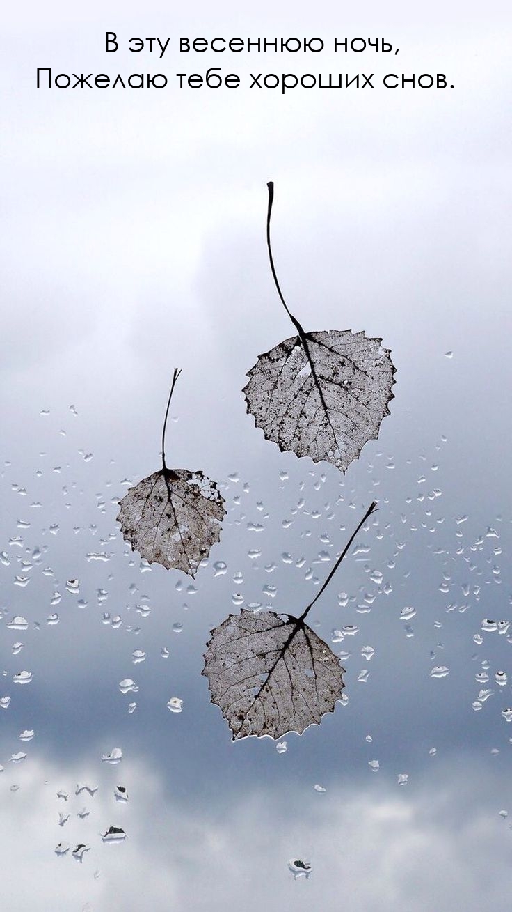 В эту весеннюю ночь, пожелаю тебе хороших снов.