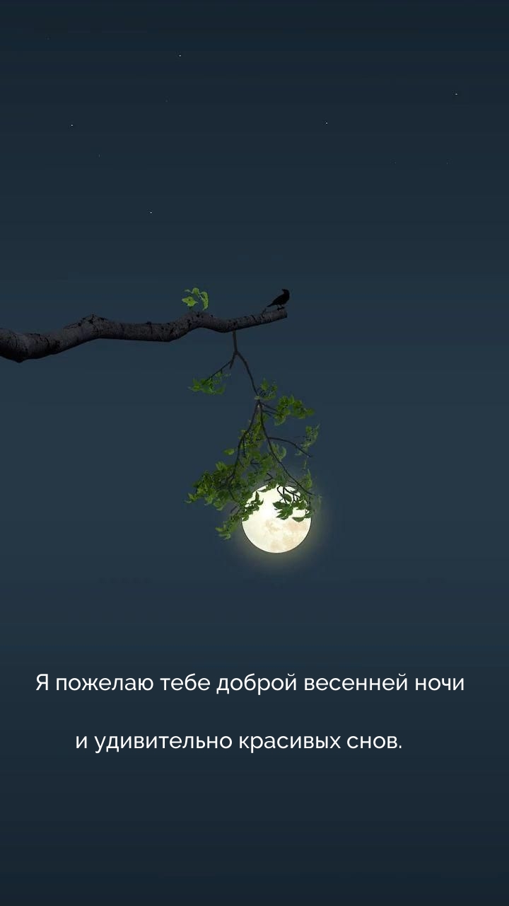 Я пожелаю тебе доброй весенней ночи и удивительно красивых снов. 
