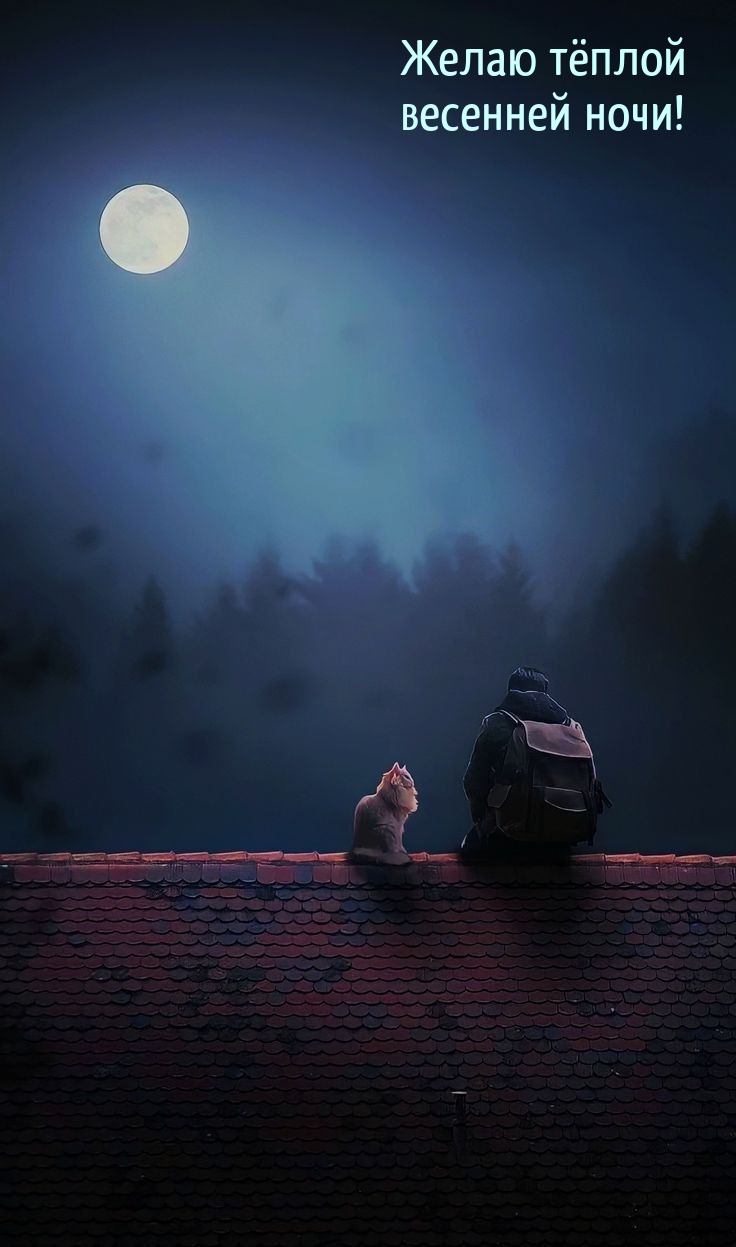 Желаю тёплой весенней ночи!