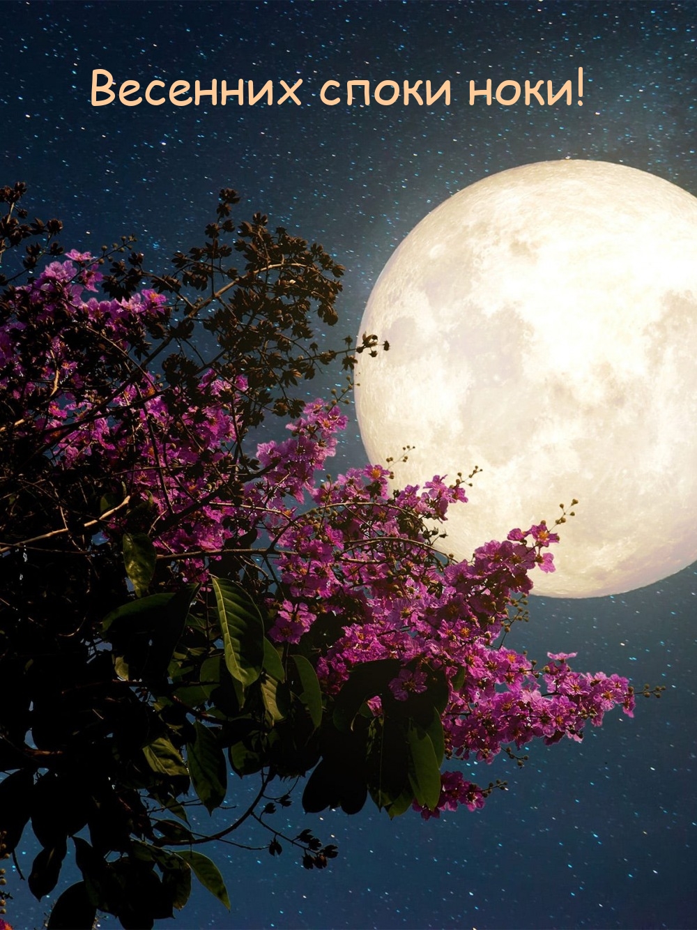 Весенних споки ноки!