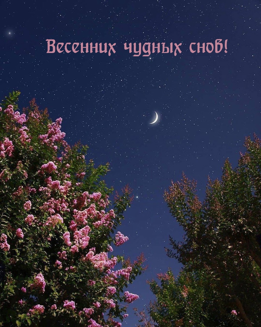Весенних чудных снов!