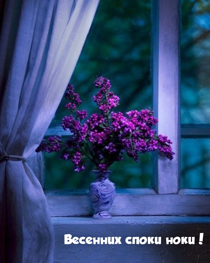 Весенних споки ноки!