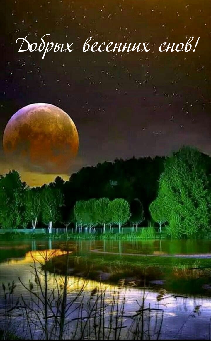 Добрых весенних снов!