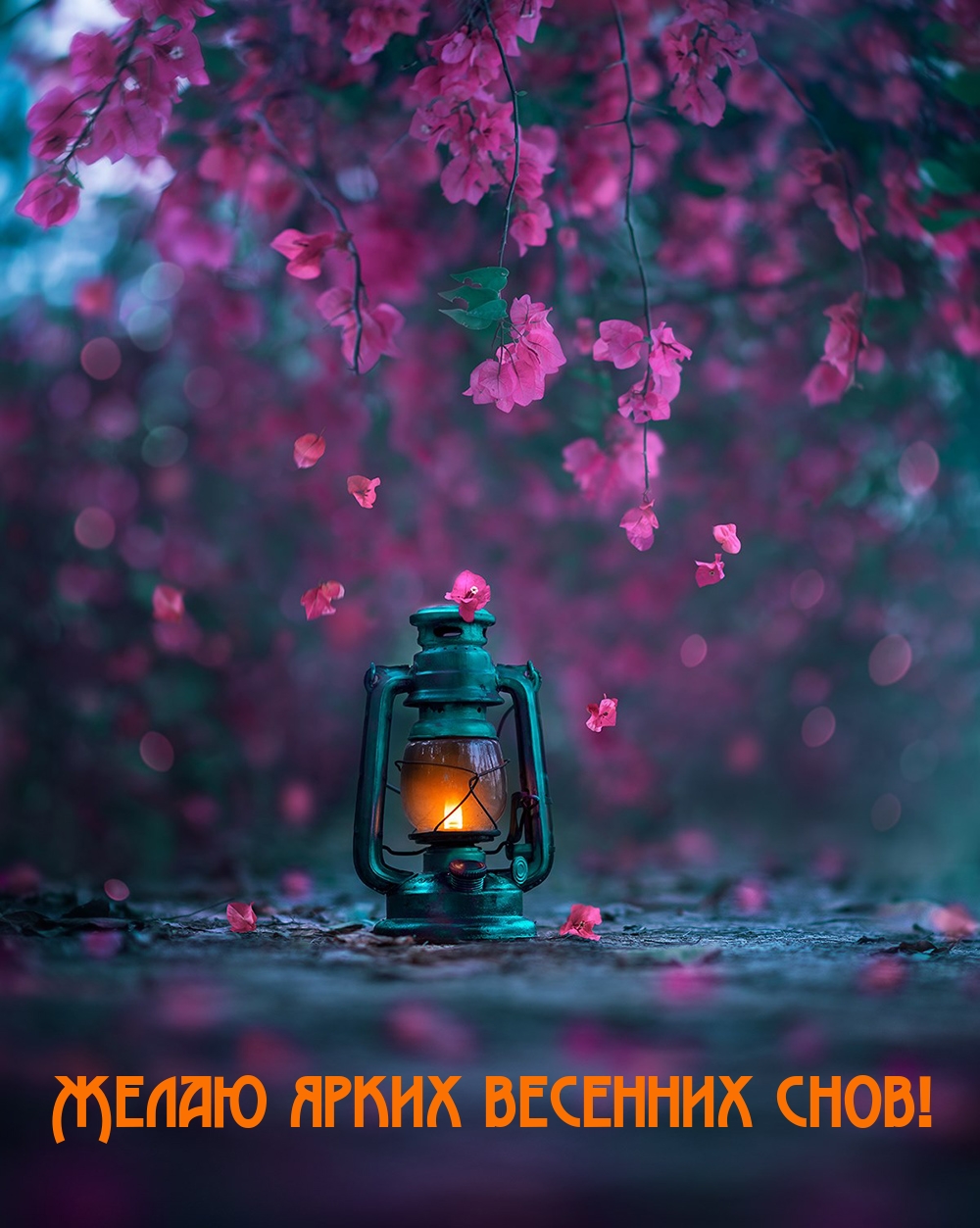 Желаю ярких весенних снов!