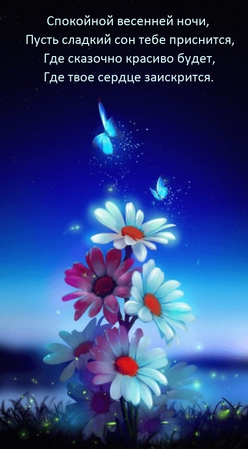 Спокойной весенней ночи, пусть сладкий сон тебе приснится
