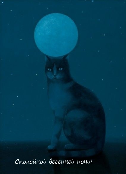 Спокойной весенней ночи!