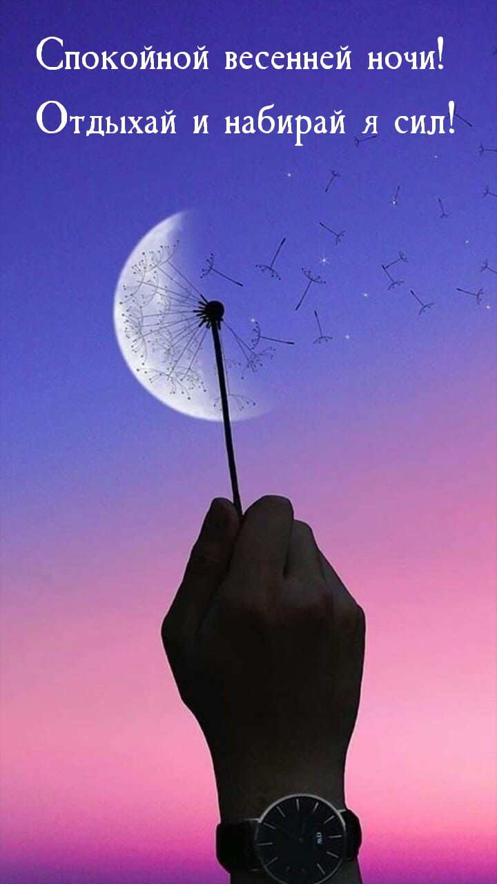 Спокойной весенней ночи! Отдыхай и набирай я сил! 