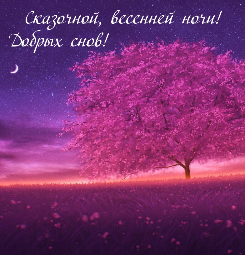 Сказочной, весенней ночи! Добрых снов!