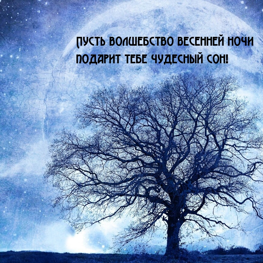 Пусть волшебство весенней ночи подарит тебе чудесный сон!