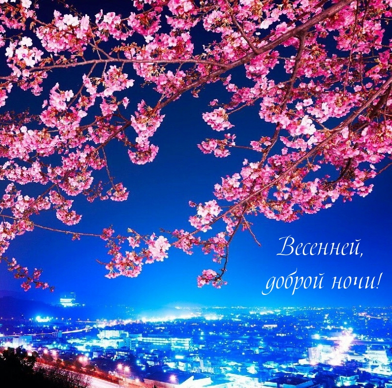 Весенней, доброй ночи!